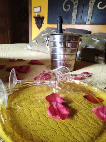 IMG_20230214_131741_resized_20230314_075015838