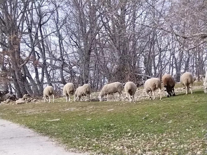 IMG_20230222_131559_resized_20230314_074912479