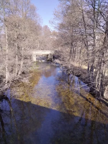 IMG_20230227_155542_resized_20230314_074758651