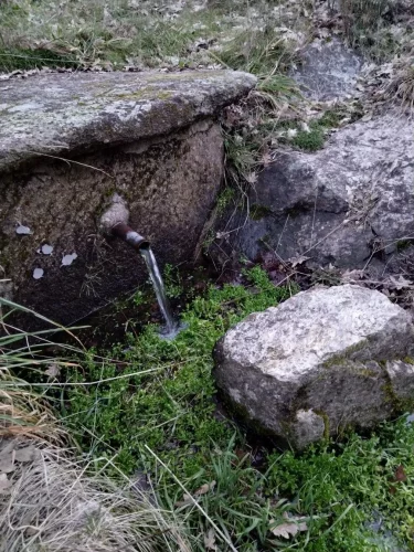 IMG_20230312_192504_resized_20230314_074648464