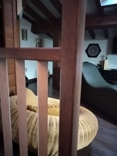 WhatsApp Image 2025-12-04 at 19.21.11